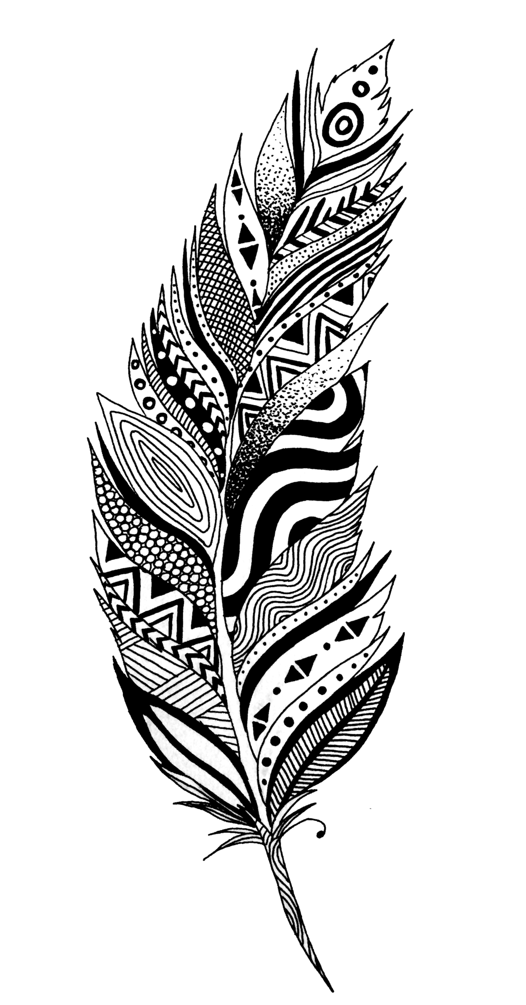 Black and white png. Peacock clipart open feather drawing