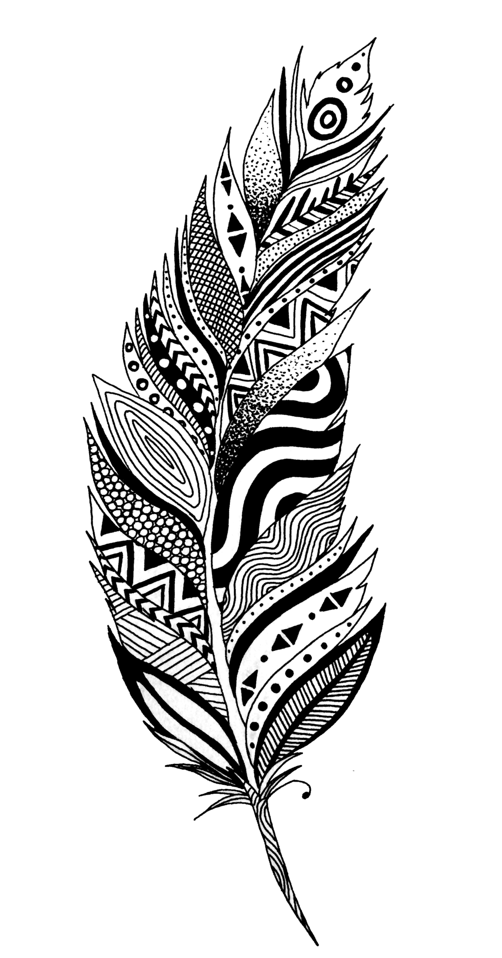Feathers Clipart Outline Feathers Outline Transparent FREE For