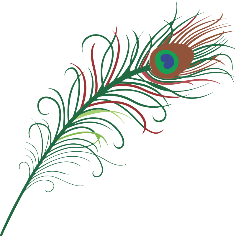 Free to use public. Creative clipart single feather