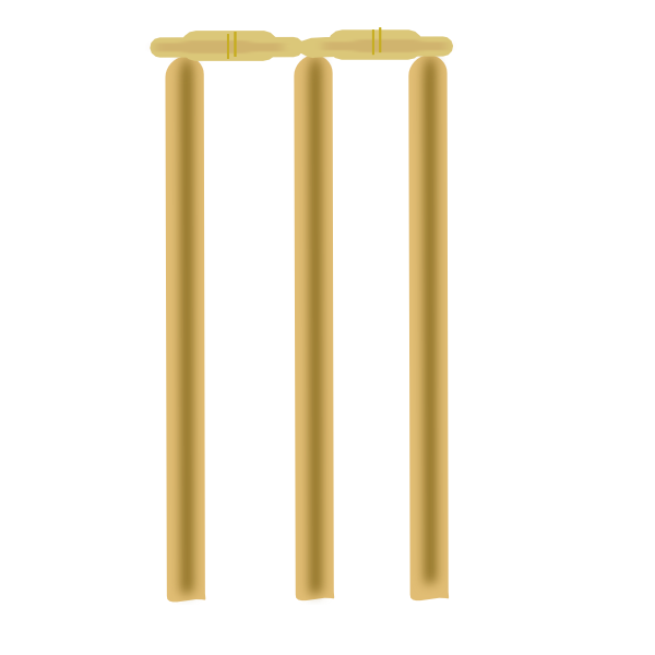 Cricket clipart audience. The backyard cricketer facebook