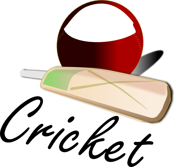 cricket clipart box cricket