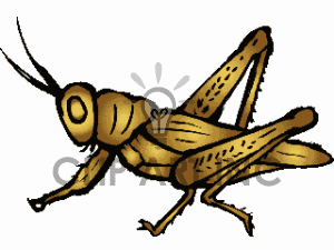 cricket clipart brown cricket insect
