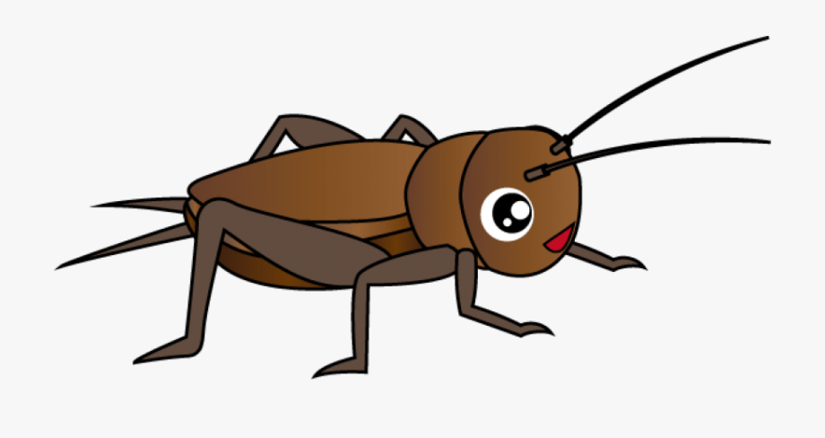 cricket clipart cricket bug