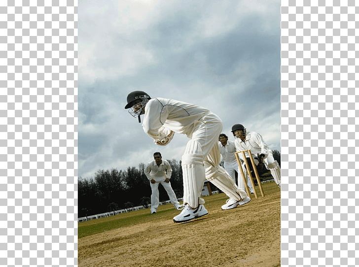 cricket clipart cricket captain