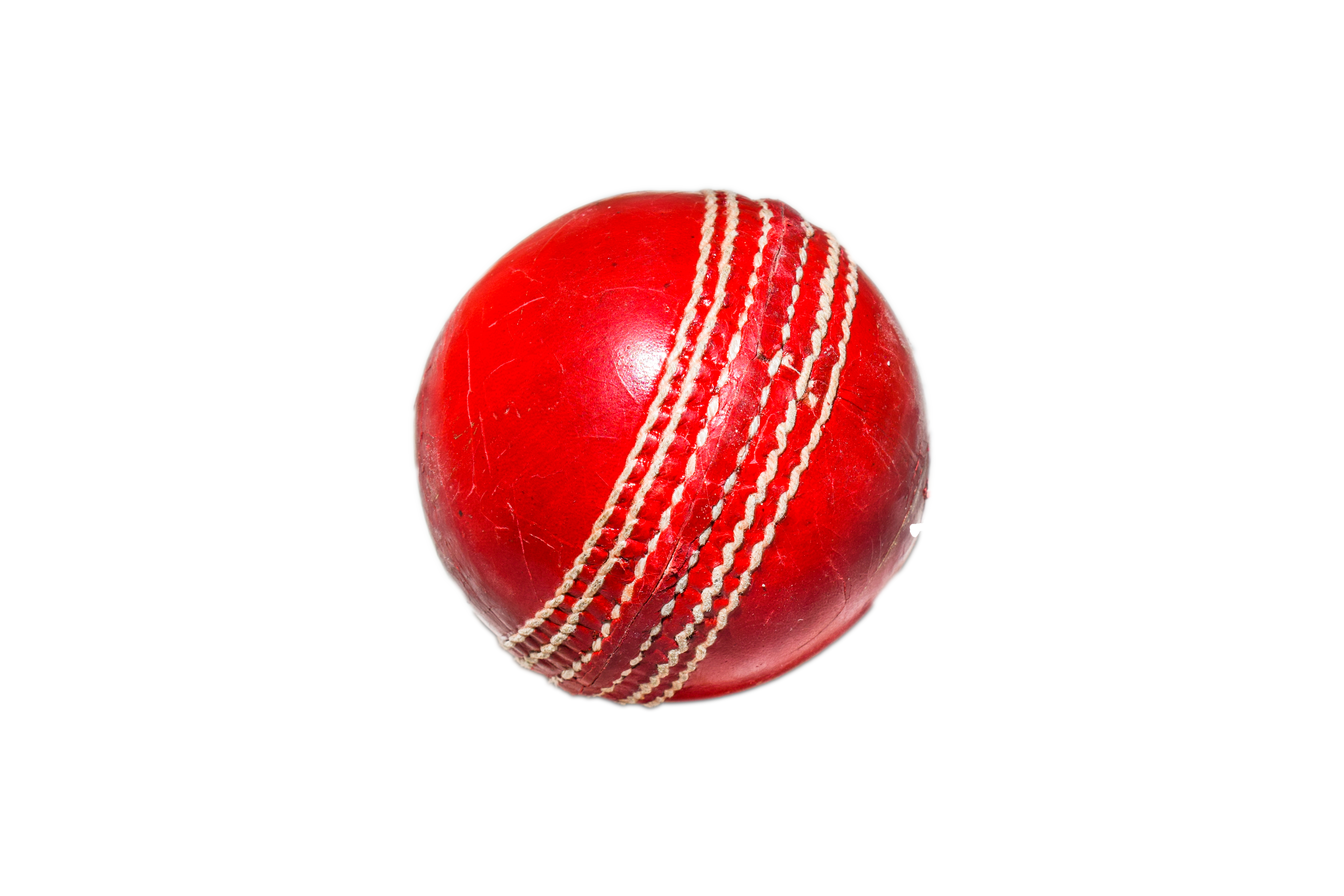cricket clipart cricket game