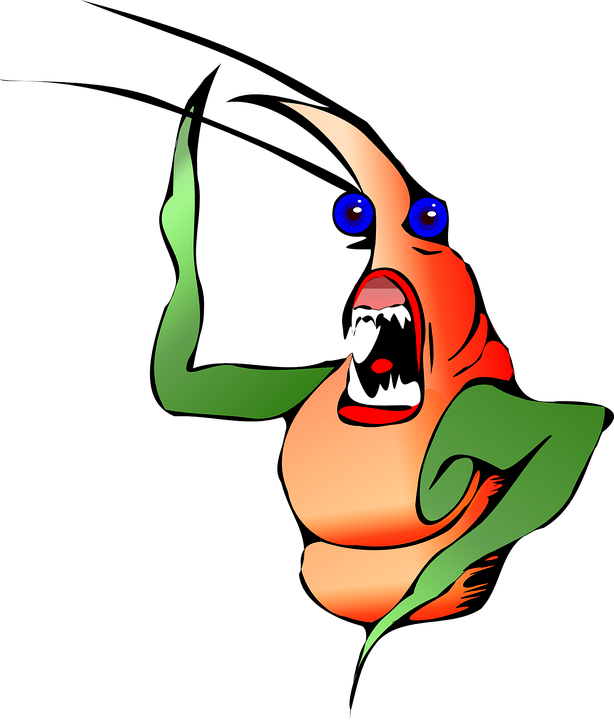 cricket clipart drawing