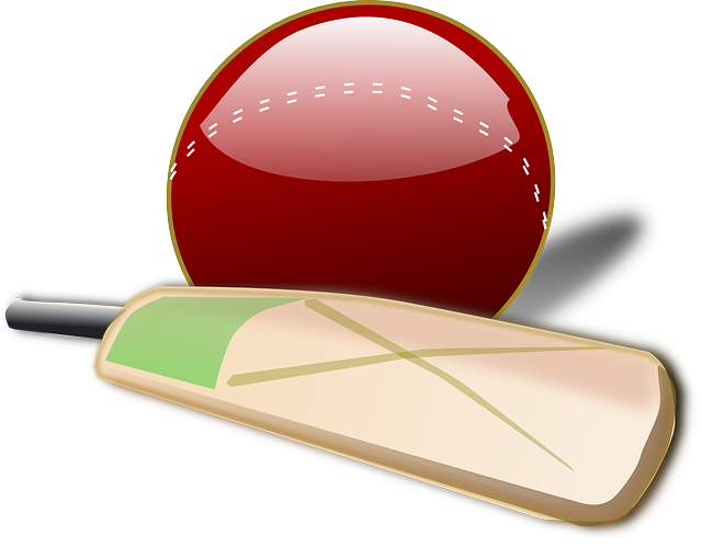 cricket clipart fire png