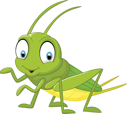 cricket clipart grasshopper