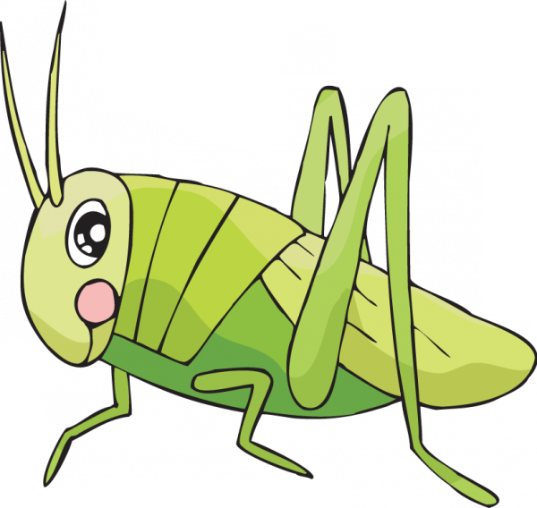 cricket clipart insect