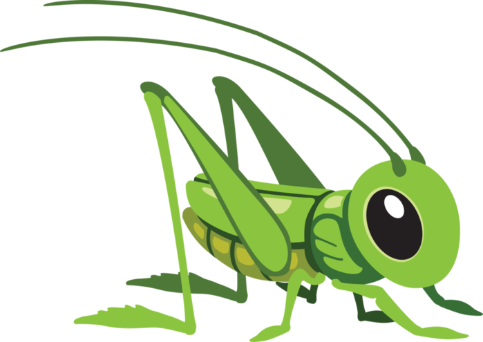 Grasshopper clipart small. Png clip art images