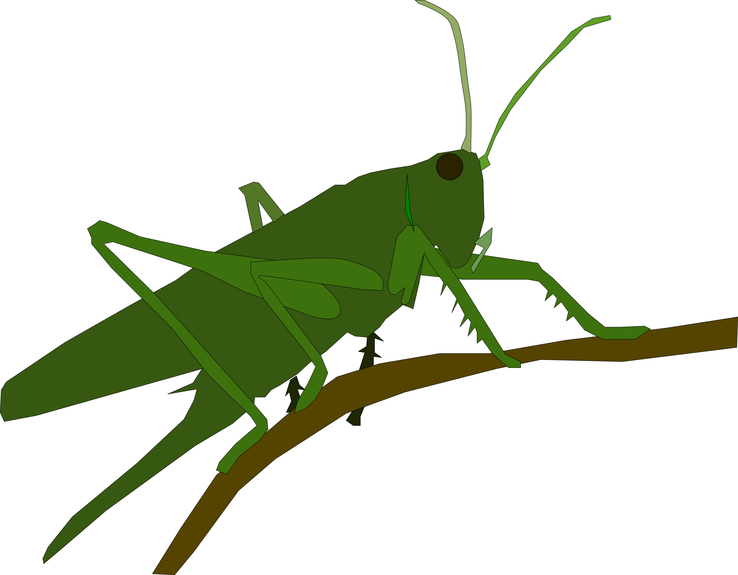 grasshopper clipart love