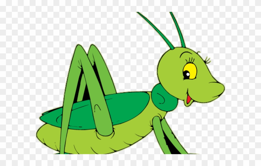 Grasshopper clipart cricket. Transparent cartoon png 