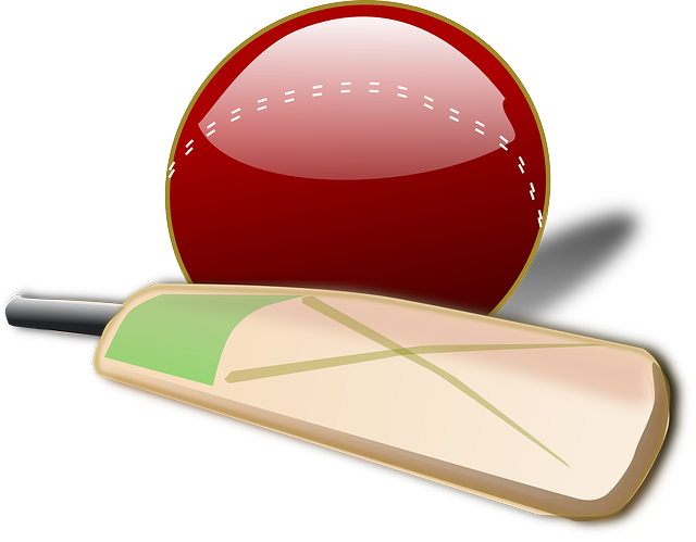 cricket clipart ipl