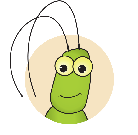 insects clipart katydid