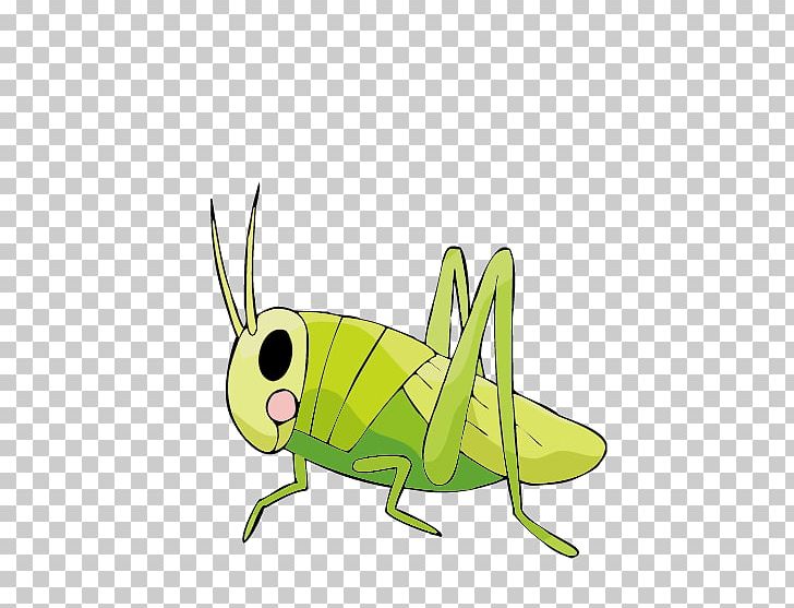 cricket clipart large