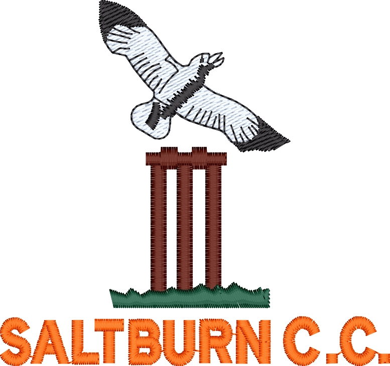 Cricket clipart windball. Saltburn cc s teamwear