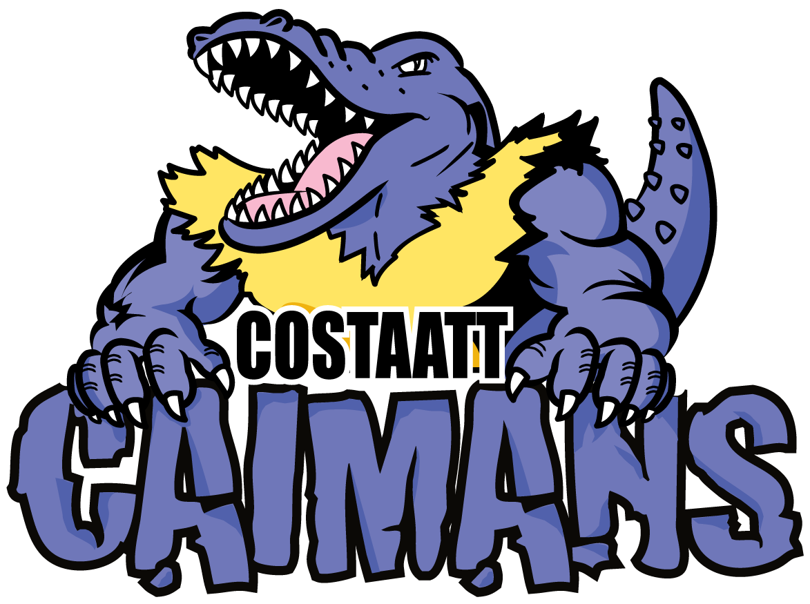 cricket clipart windball