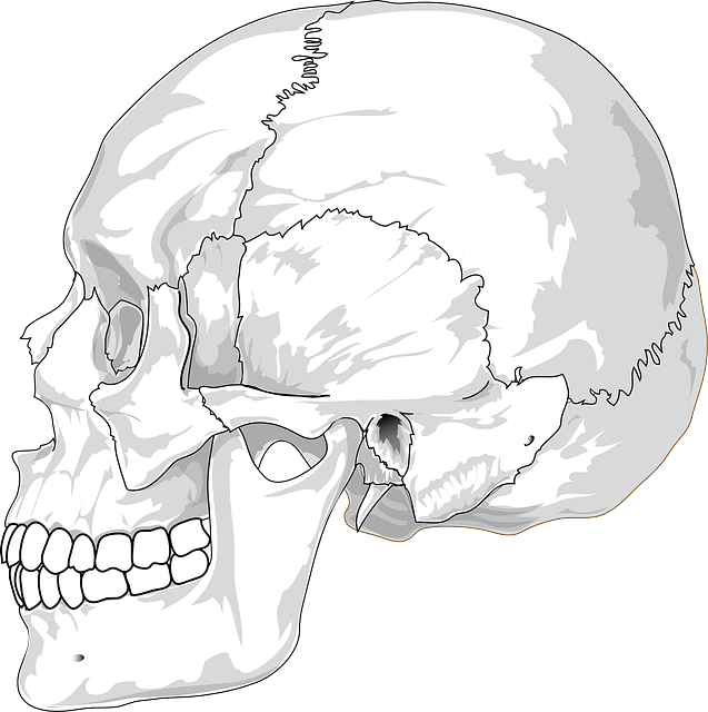crime clipart forensic anthropology
