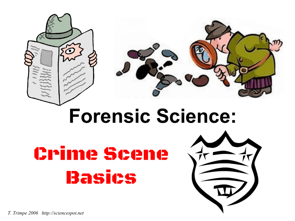 crime clipart forensic entomology