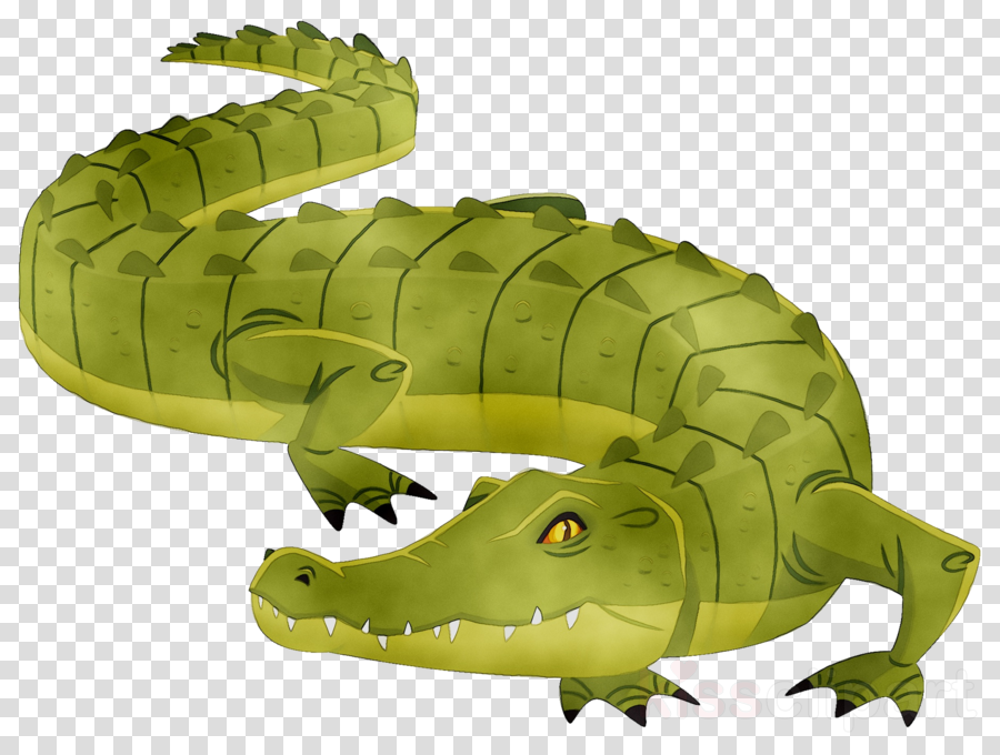 crocodile clipart croccodile