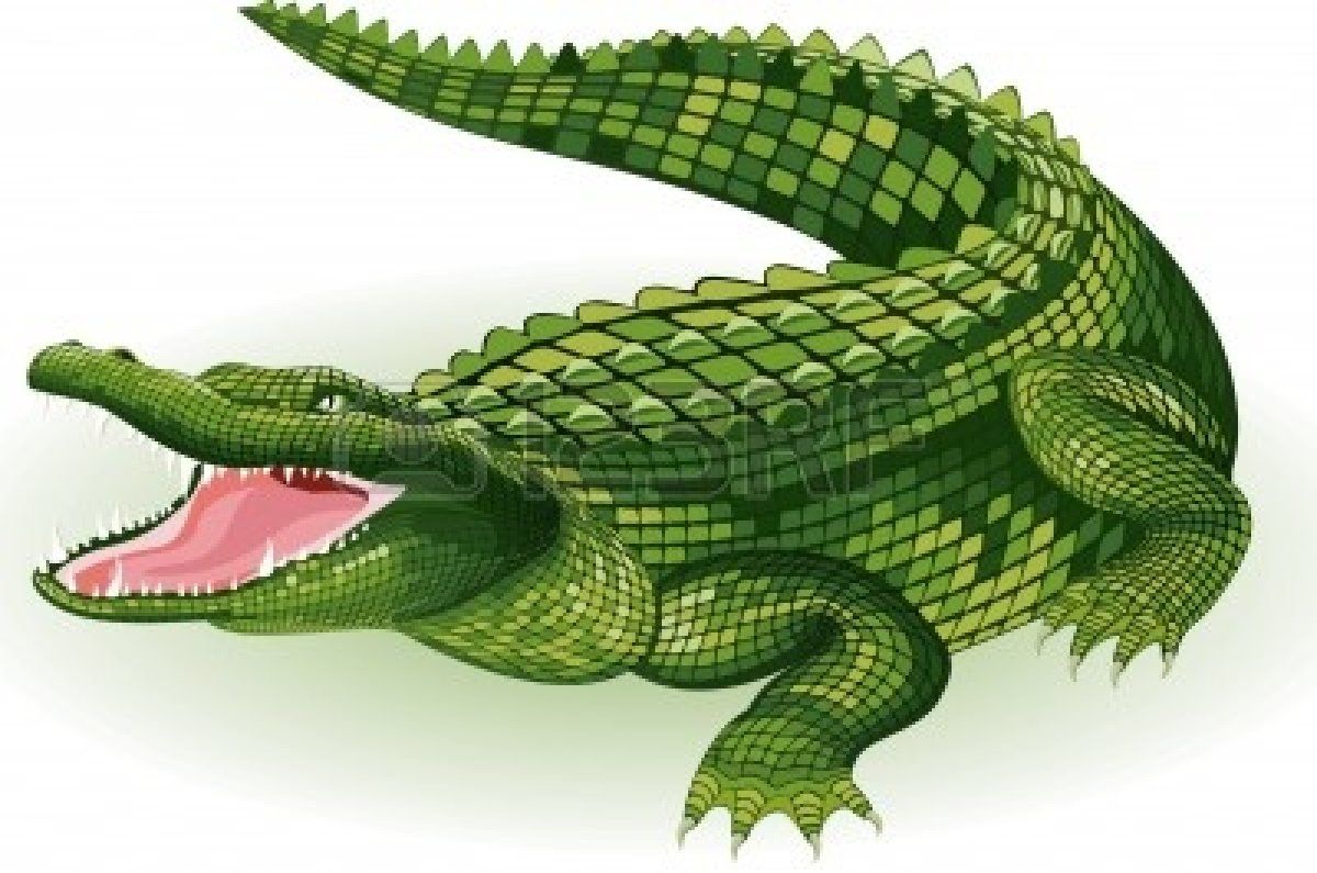 crocodile clipart fierce