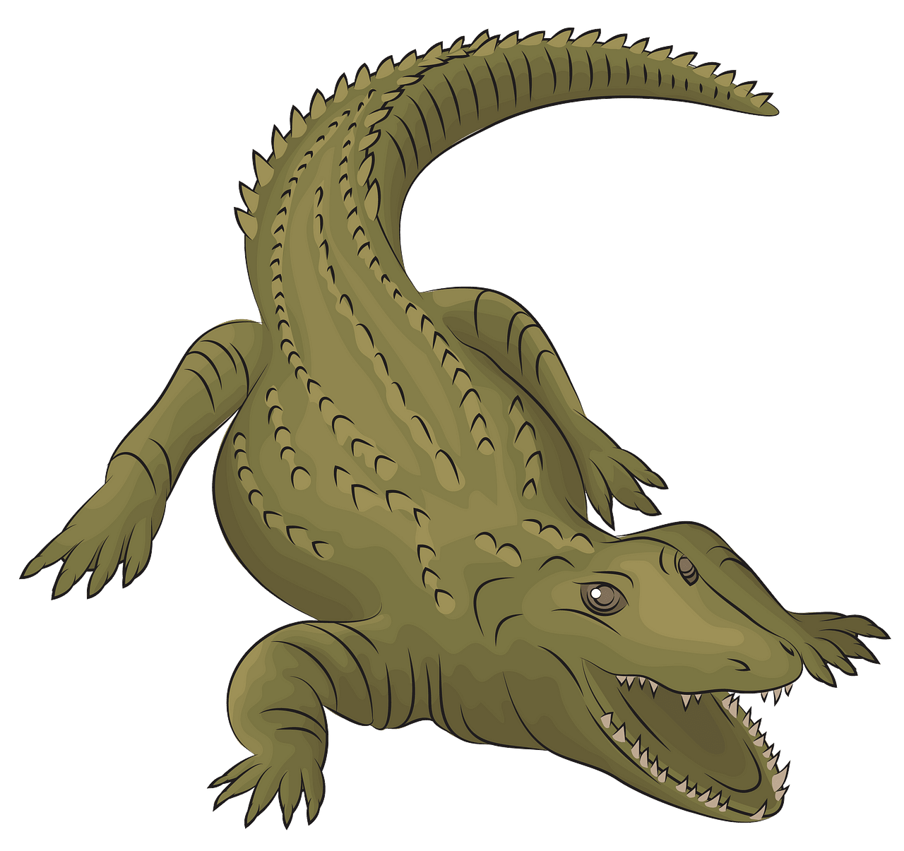crocodile clipart nile crocodile