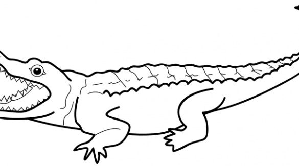 crocodile clipart printable