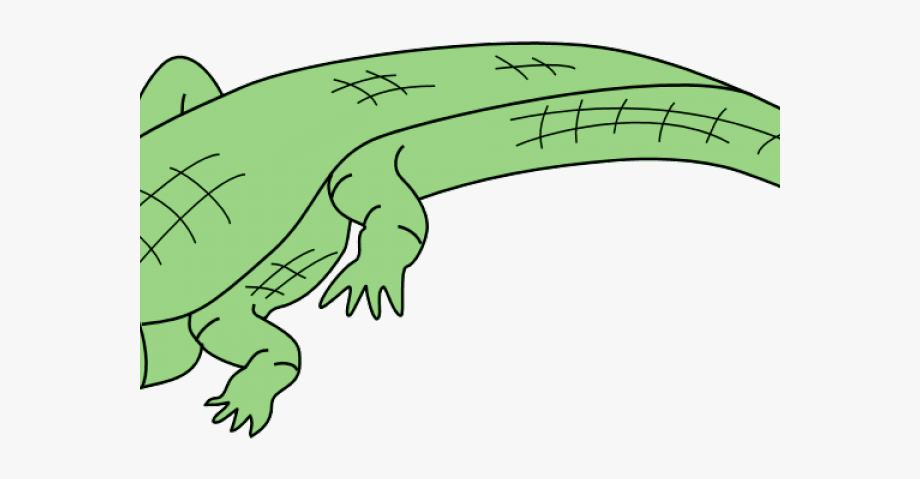 Crocodile clipart top view. Alligator clip art 