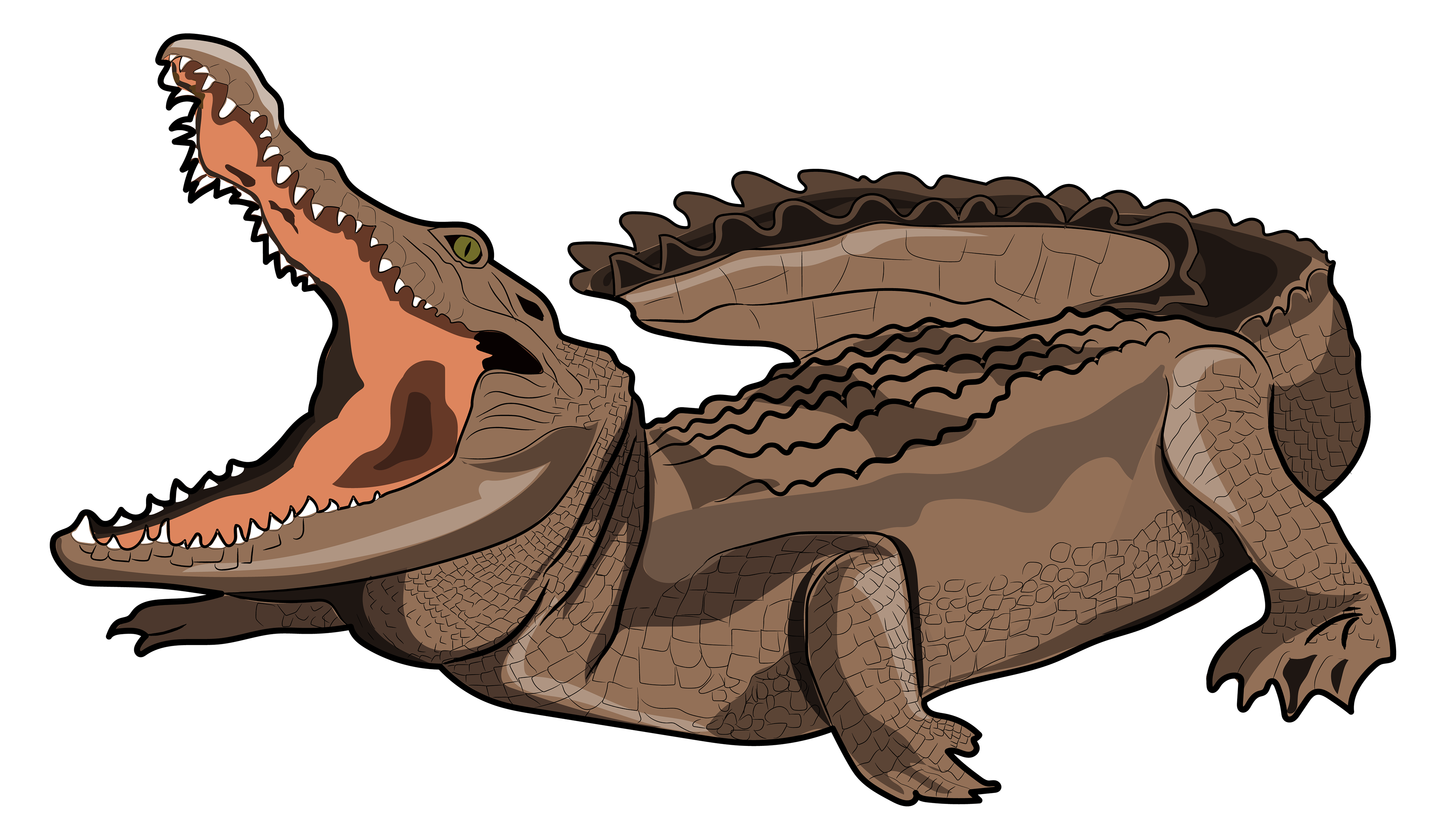 Crocodile Clipart Zoo Animal Crocodile Zoo Animal Transparent Free For