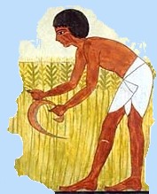 egyptian clipart farming
