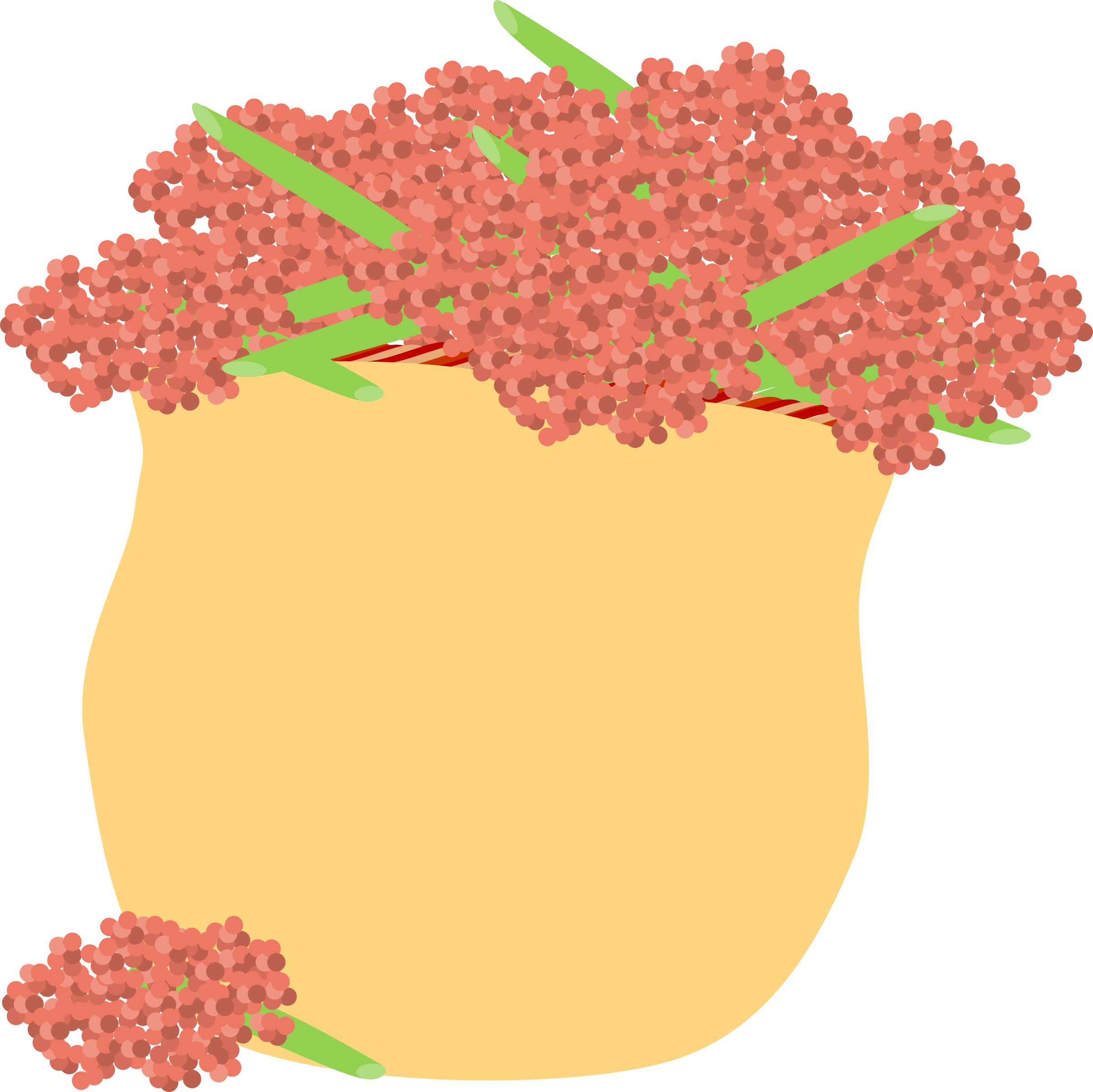 orange clipart berries
