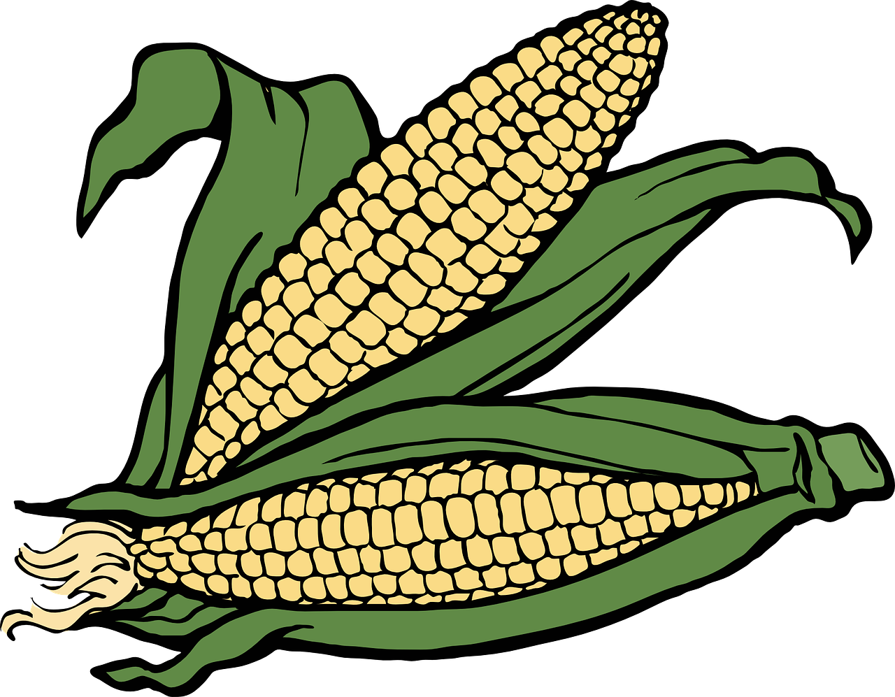 crops clipart corn husk