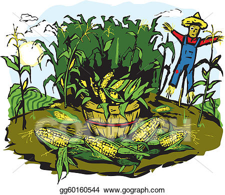 crops clipart corn stock