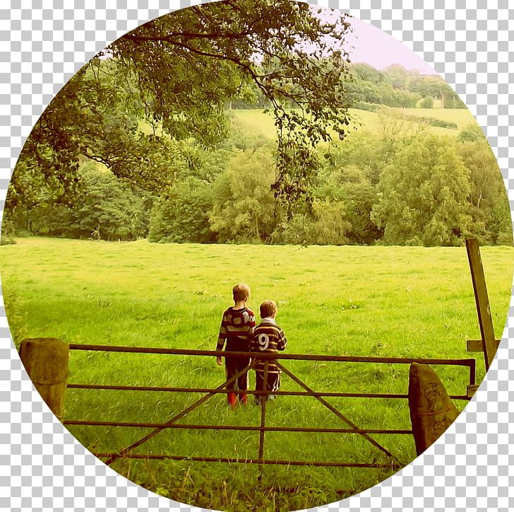 Crop massive cause maize. Crops clipart country farm