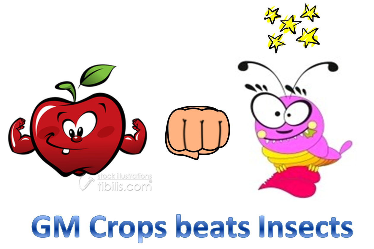 Crops food crop