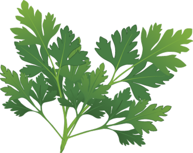 Graphic design pinterest herbs. Peas clipart celery