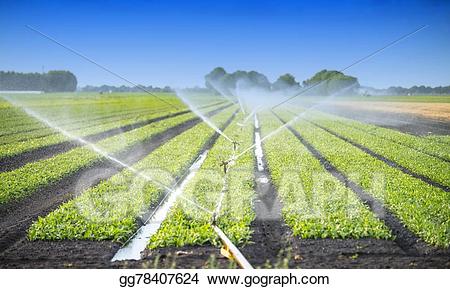 crops clipart irrigation