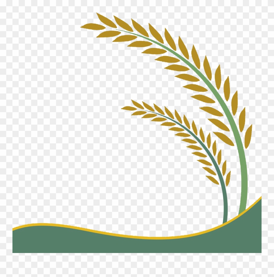 rice clipart rice crop
