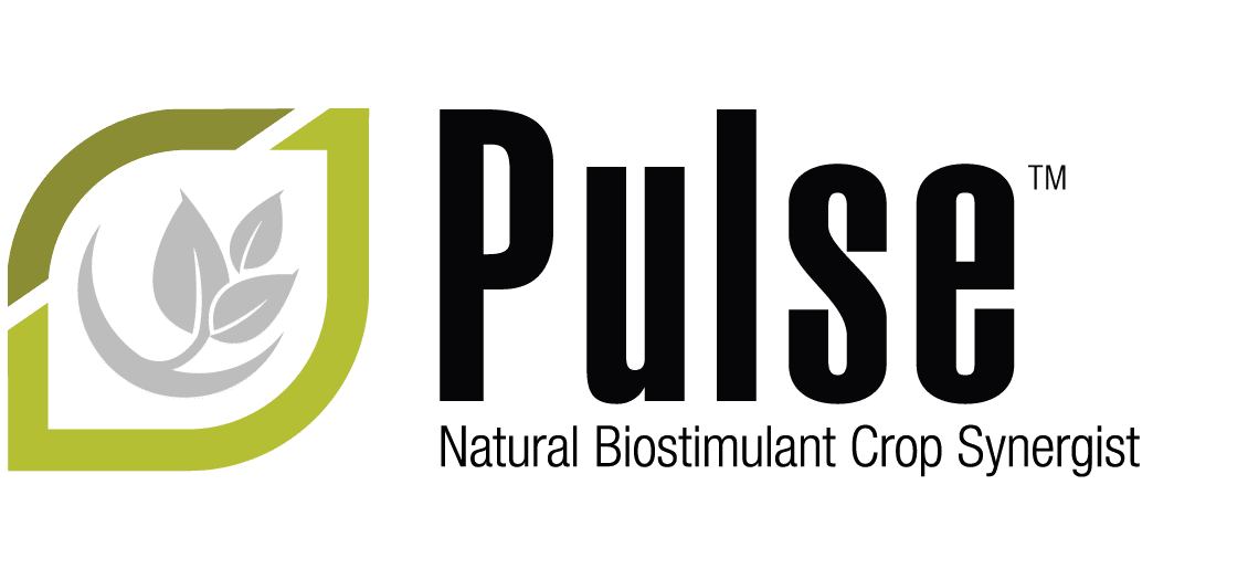 crops clipart pulse plant