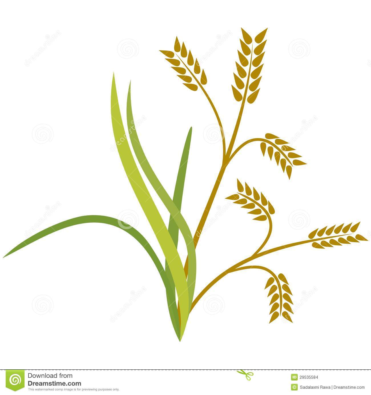 Crop portal . Rice clipart rice stalk