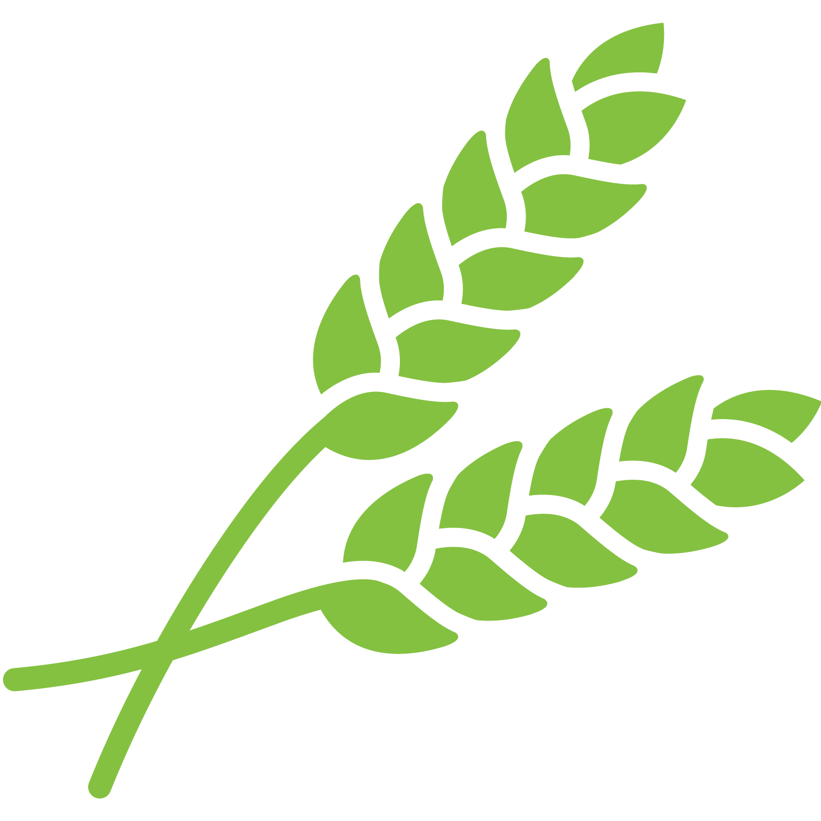 crops clipart soy plant