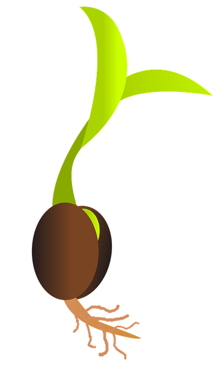 crops clipart sprout