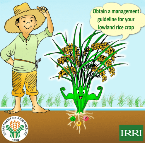 crops clipart uses soil