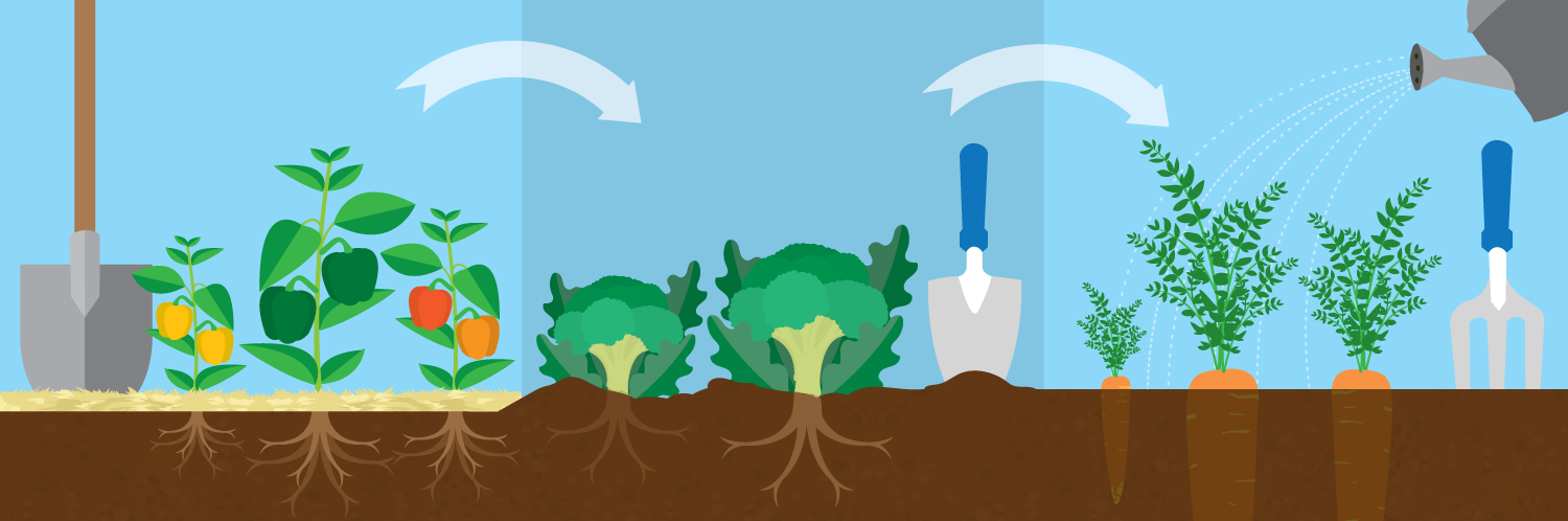 crops clipart uses soil