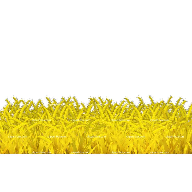 Free cliparts download images. Wheat clipart wheat field