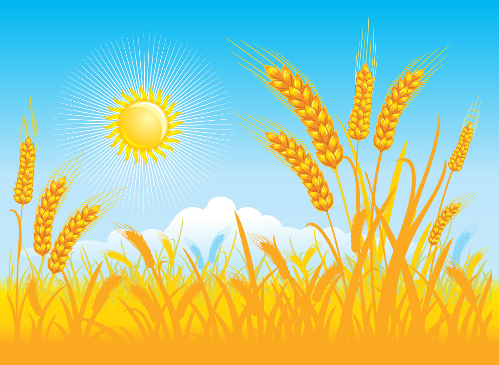 Free cliparts download images. Crops clipart wheatfield