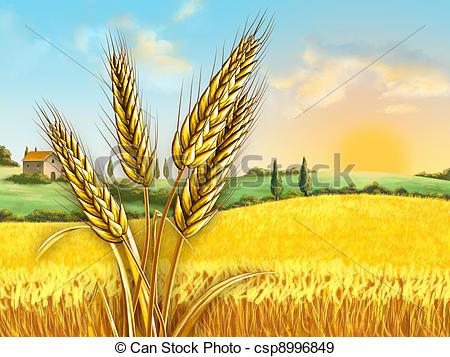 Wheat field free cliparts. Crops clipart wheatfield