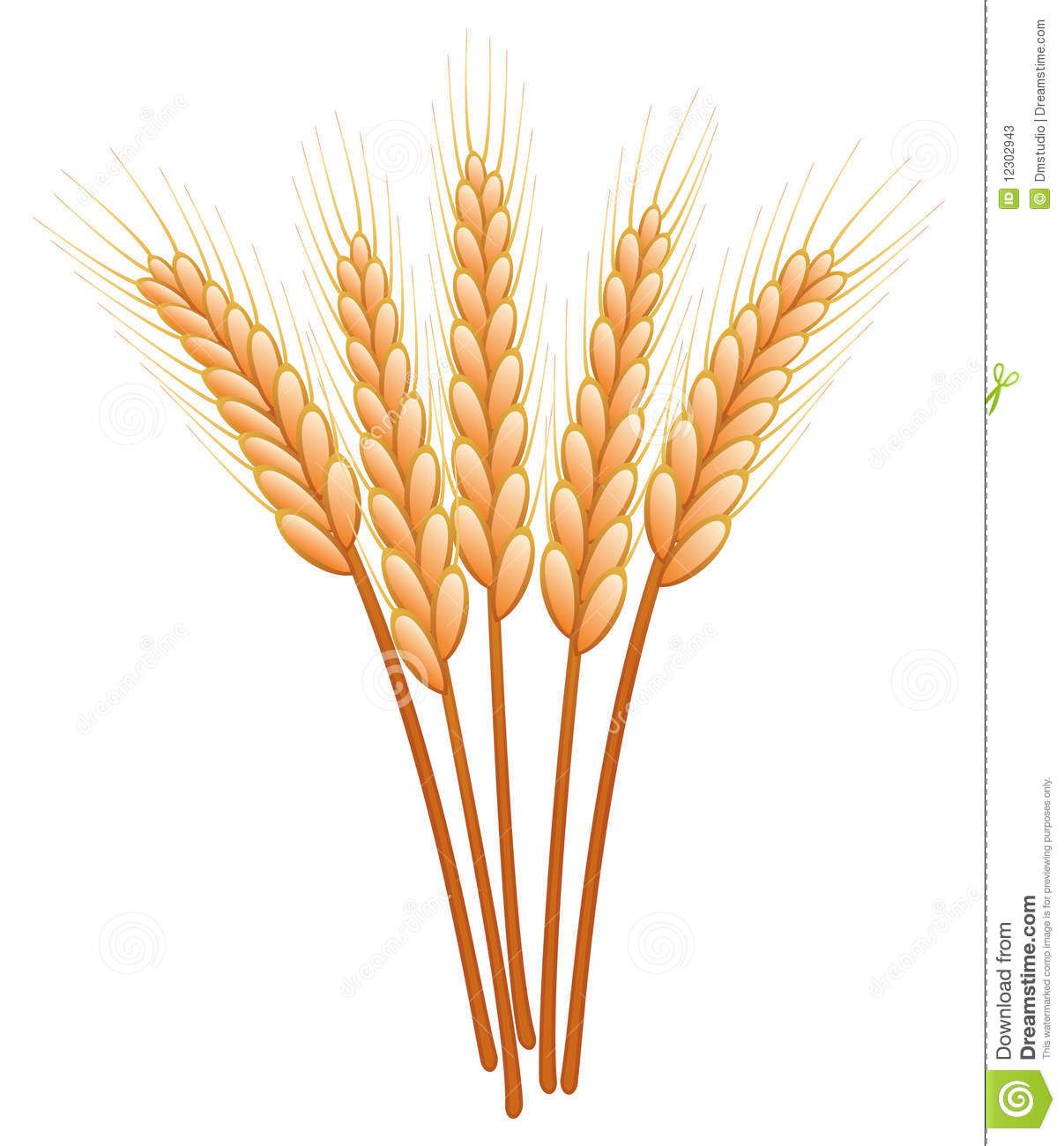 Grains clipart wheat plant. Crops portal 