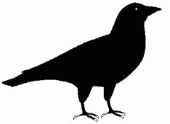 crow clipart