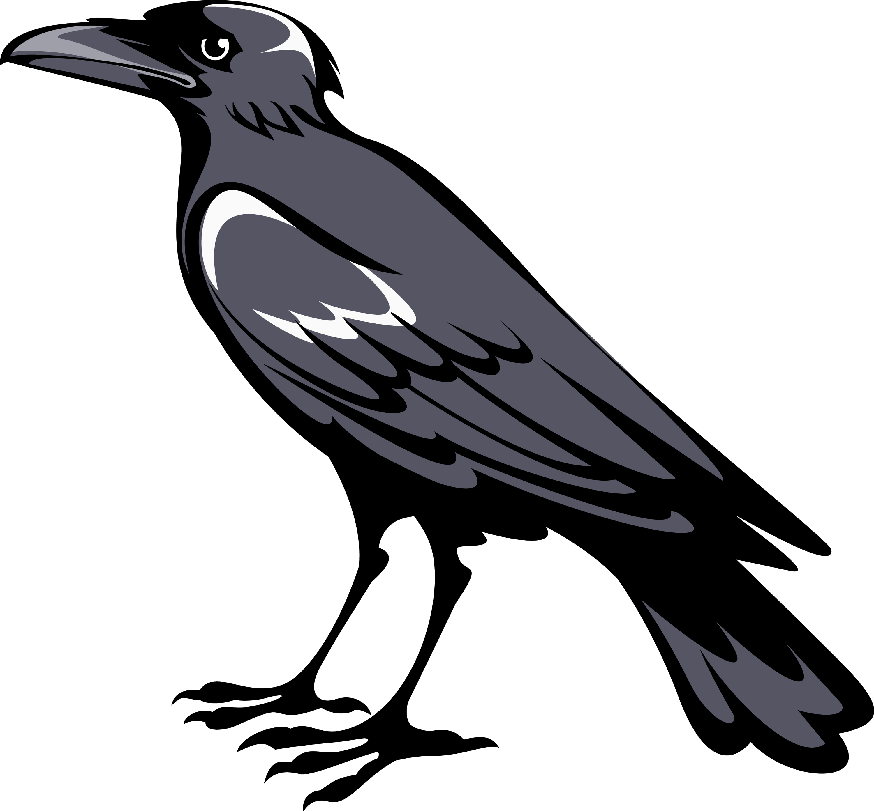 Crow clipart black australian. Raven heraldic creatures pinterest